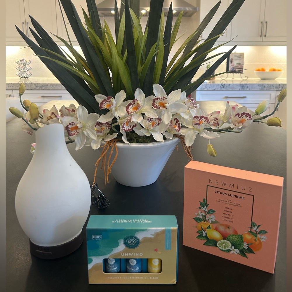 Fragrance Diffuser with Two Essential Oils Kits